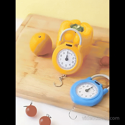 Hanging Scale – Portable Hanging Weighing Scale Tool 10kg