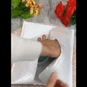 Brazilian Wood Plant - Lucky Wood Mini Home Plant Decorations (Pack of 2) Roposo Clout