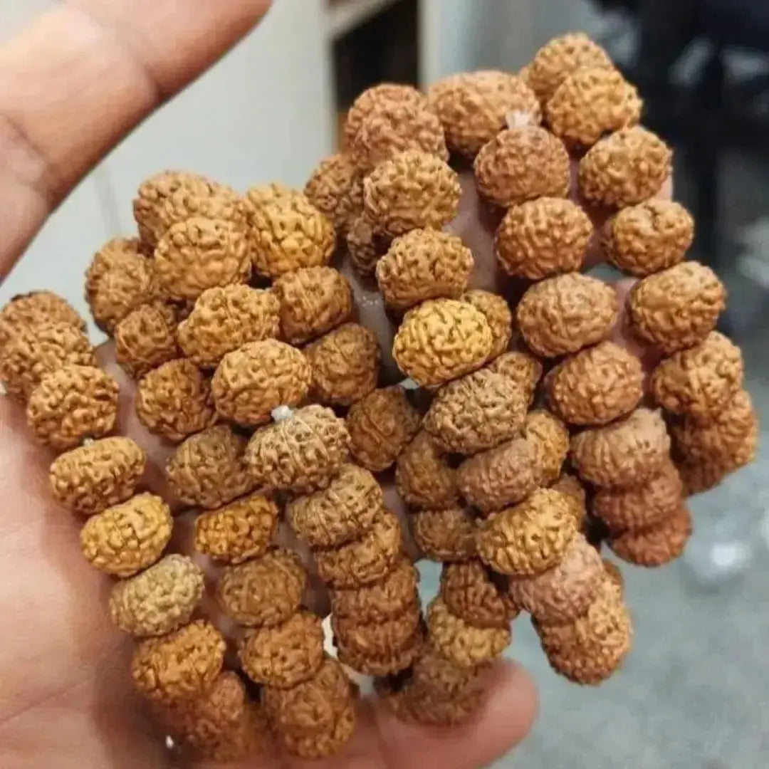 7 Mukhi Rudraksha Bracelet