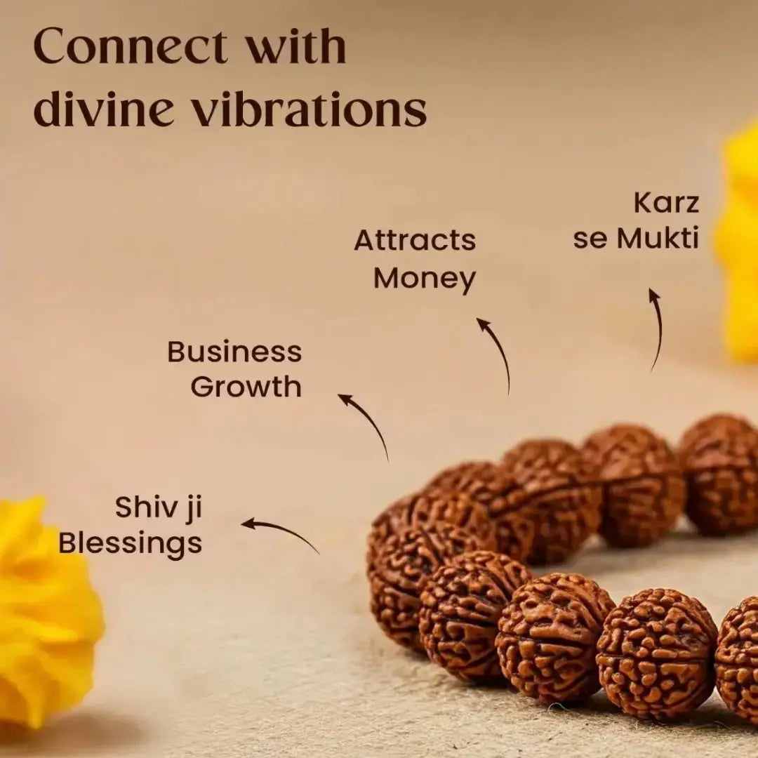 7 Mukhi Rudraksha Bracelet