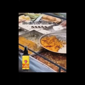 Anti Flies Floor Cleaner Spray (Pack of 2) Roposo Clout