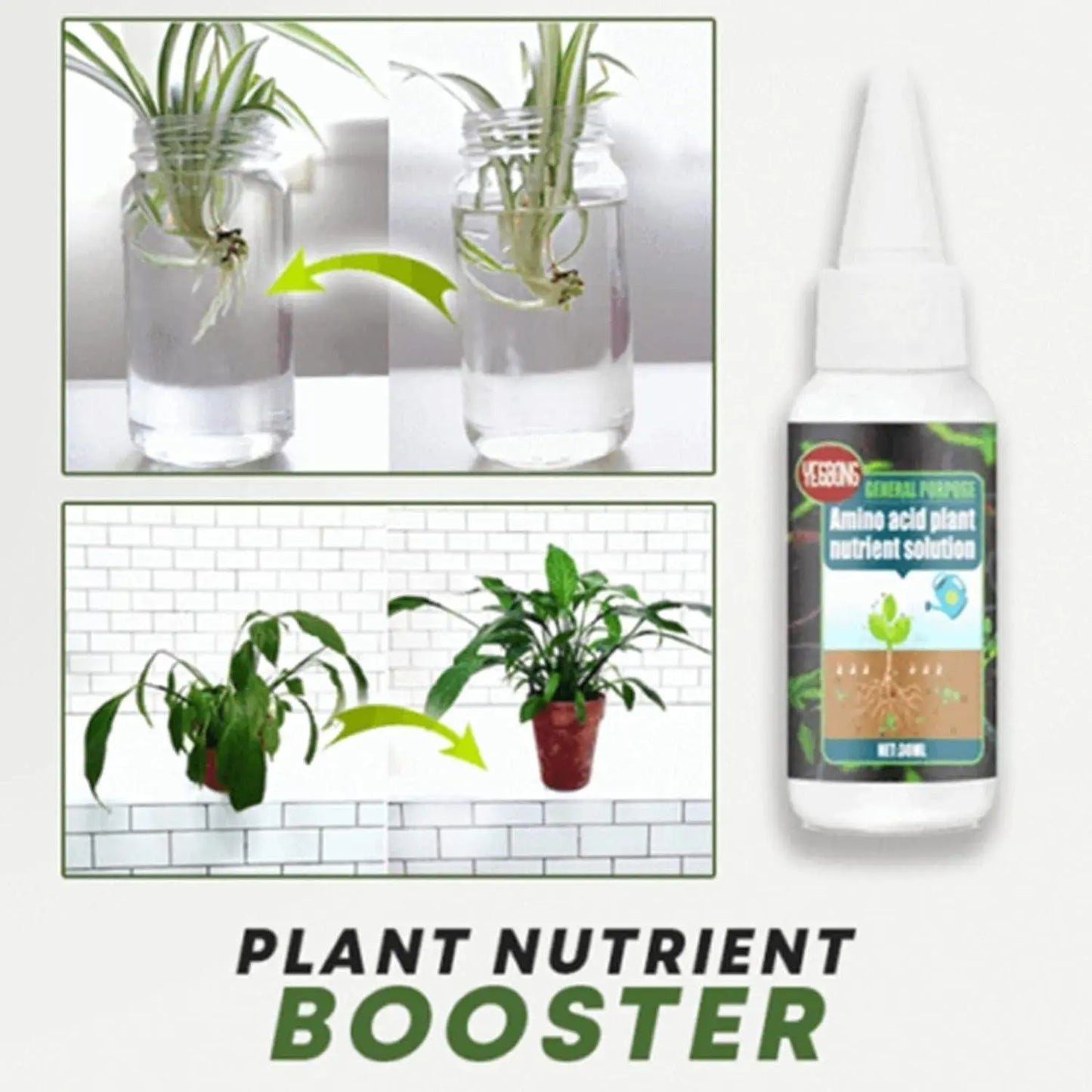 Plant Fertilizer