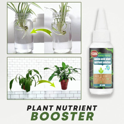 Plant Fertilizer