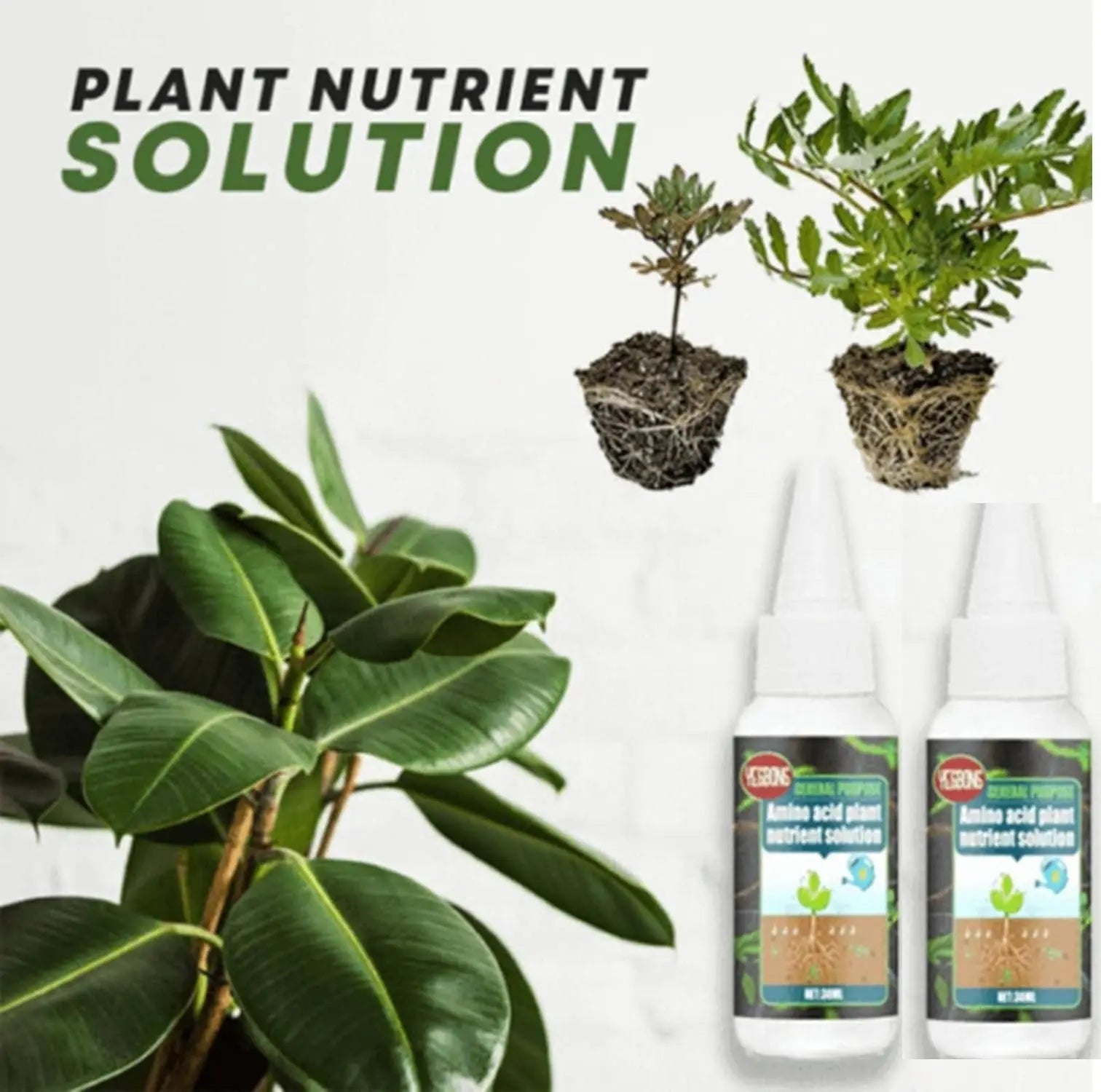 Plant Fertilizer