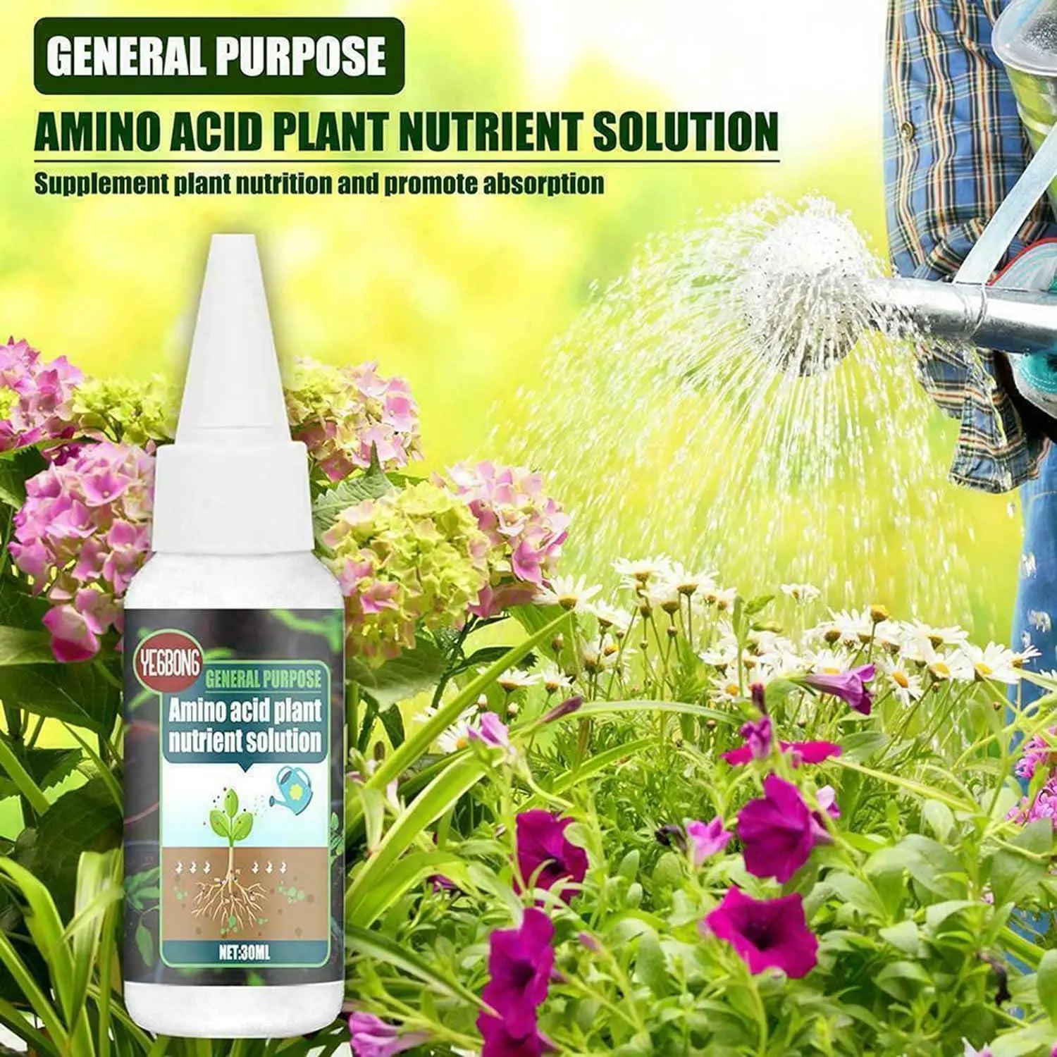 Plant Fertilizer