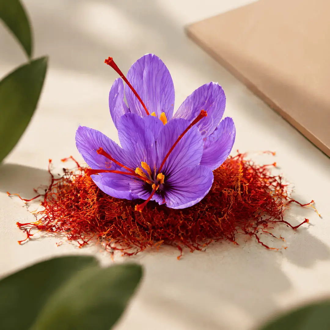 Saffron Bulbs (Pack of 8) – Premium Saffron Bulb Seeds