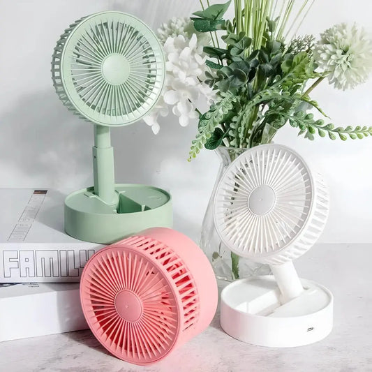 Rechargeable Fan