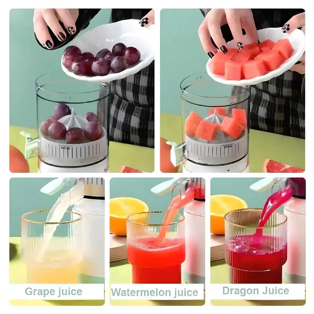 Juicer Blender