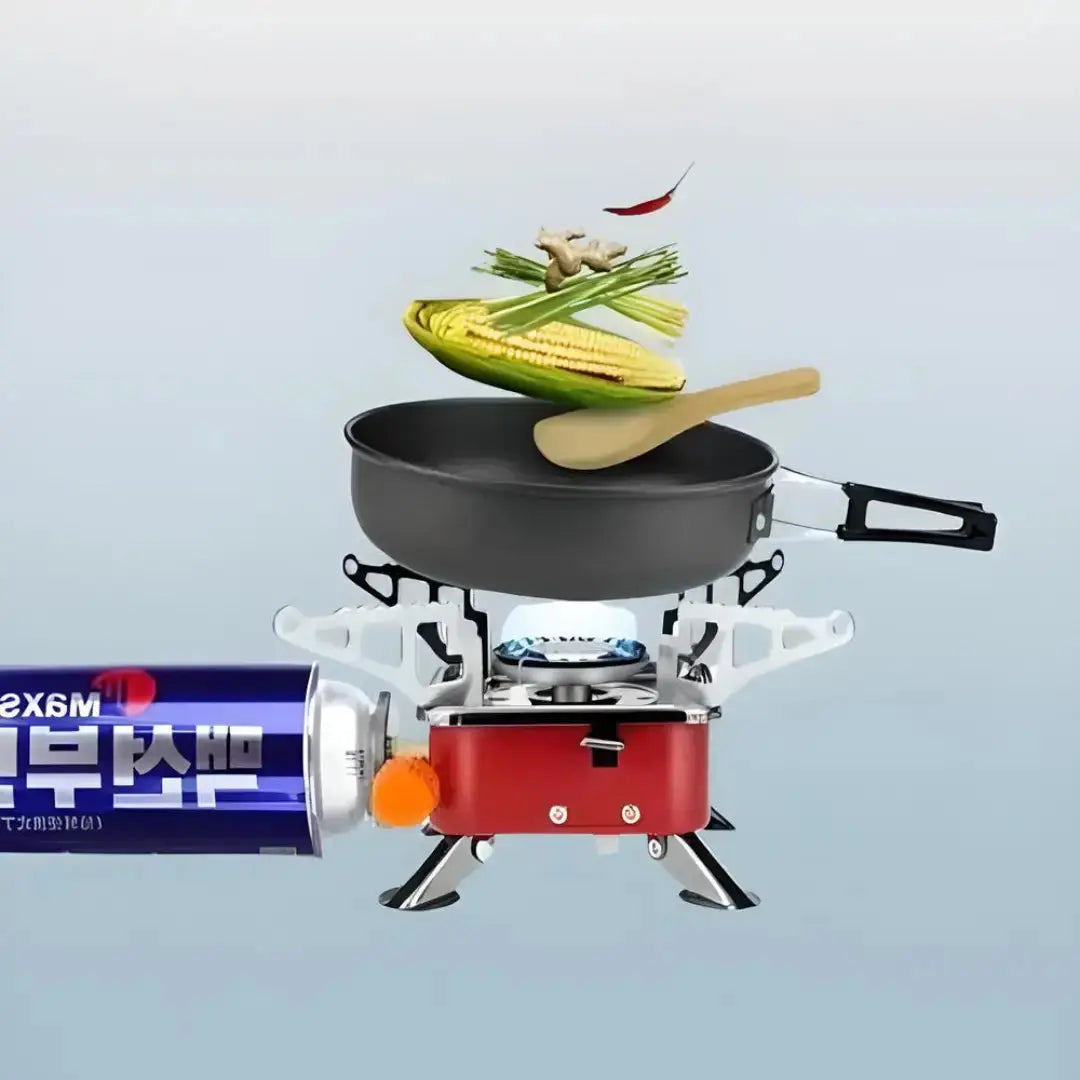 Portable Gas Stove