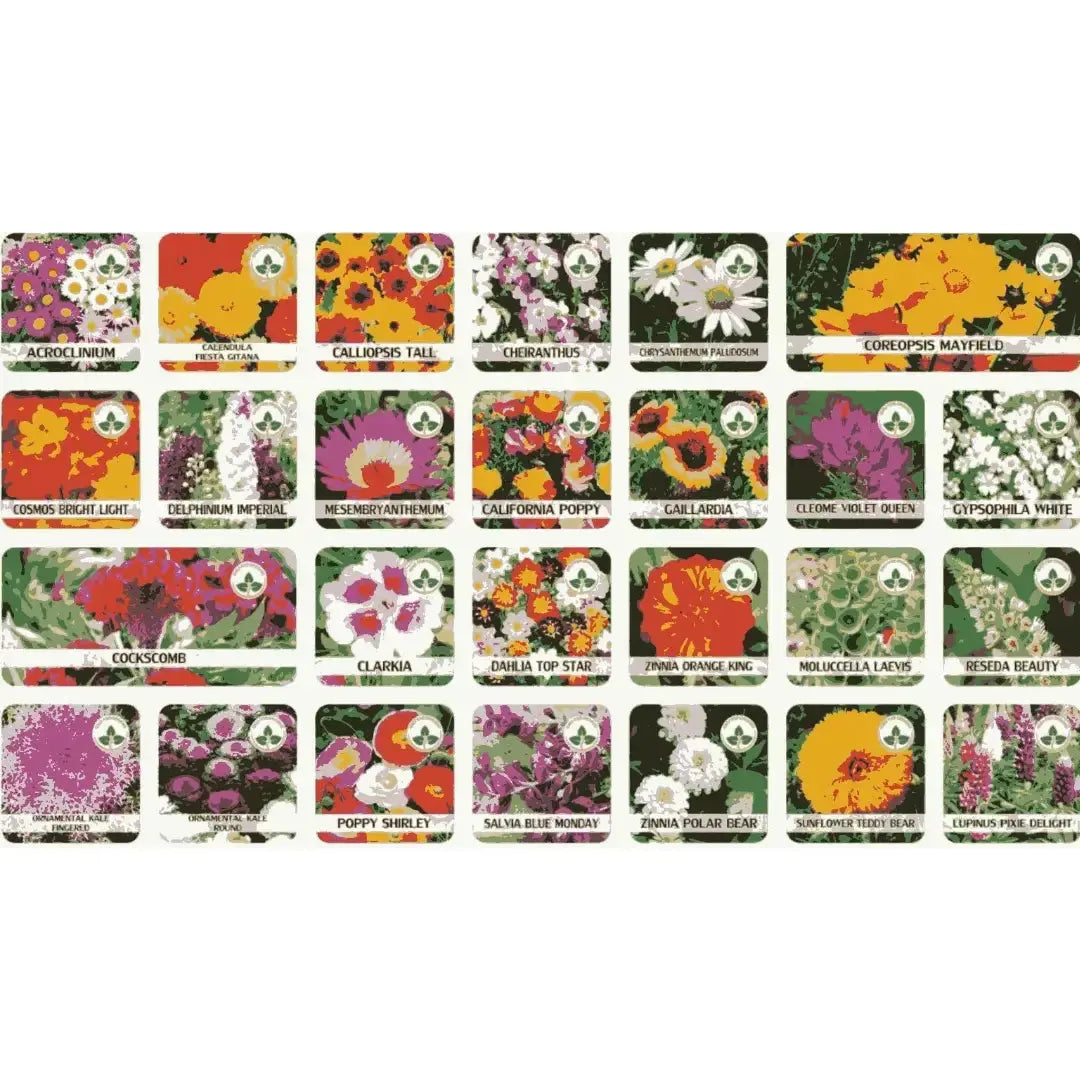 Varieties of Flower Seeds (Pack of 100) And Get Plant Growth Supplement Free